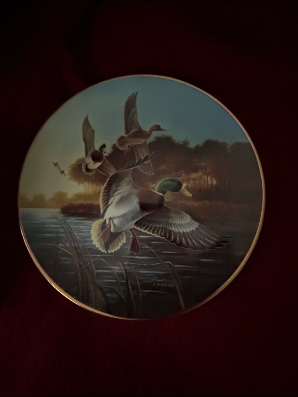 George White Decorative Plate "Mallards at Sunrise"